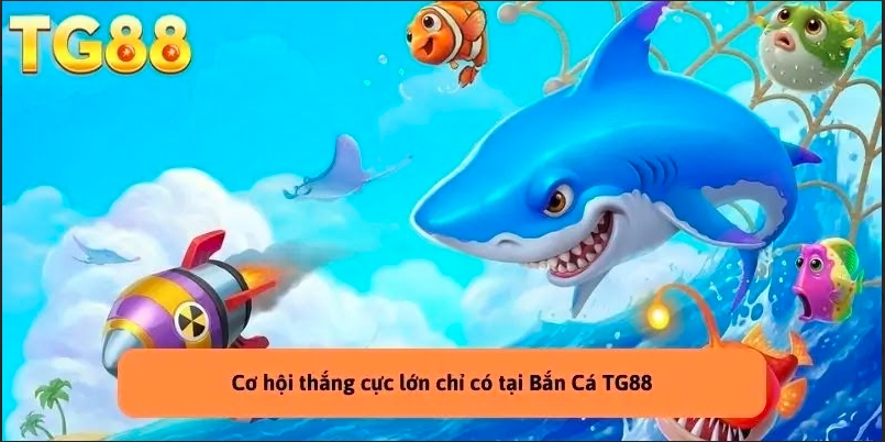 Các câu hỏi thường xuyên gặp