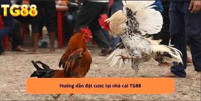 Quản lý vốn cược hợp lý